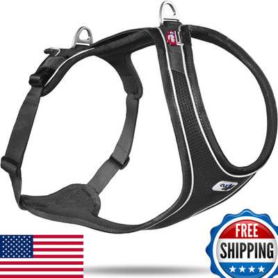 Curli Belka Comfort Harness Black Xs