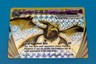Crobat BREAK XY181  XY **Black Star Promo ** Pokemon TCG