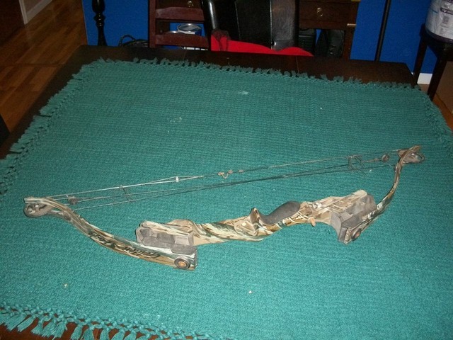 Advise For Buying And Using A Compound Page 2 Tradtalk