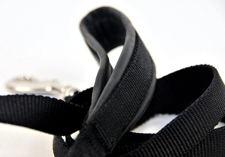 Correa acolchada Dean & Tyler cachorro perro mango de cuero suave y acero inoxidable 6 pies Foto 2 de 2