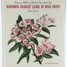 Vintage Ocean County New Jersey 1950 Centennial Advertising Card Laurel Flowers