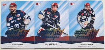 Bittner, Marshall, Larkin (Schwenninger Wild Wings) Stat Kings Insert 25/26
