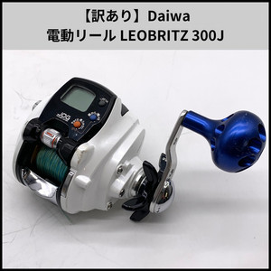 Daiwa Leobritz 300j | eBay