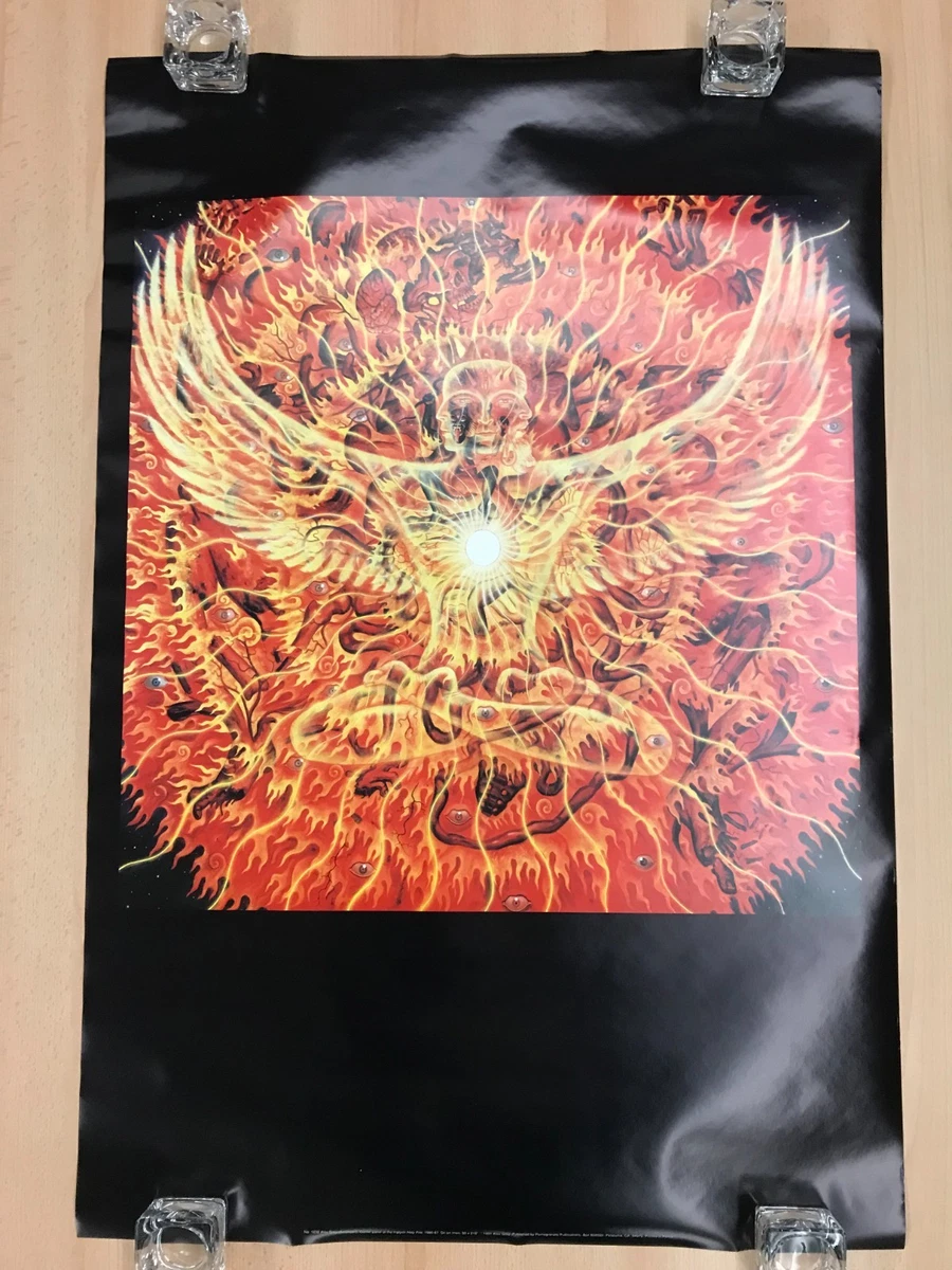 Alex Grey In Art Posters for sale | eBay