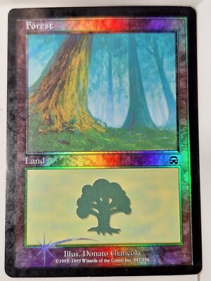 Forest - FOIL - 347 Mercadian Masques - Magic the Gathering MTG Nice!