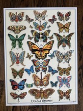 Grateful Dead & Co Butterfly Original Poster - Summer 2019 Tour