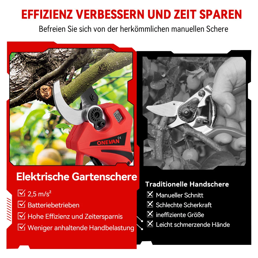 Bild 5 von 13