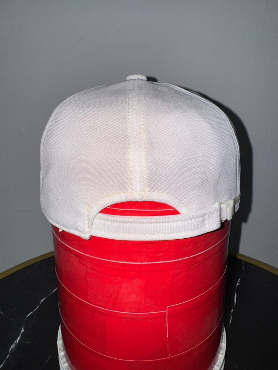 Vintage NPB Saitama Seibu Lions Stadium Cap | eBay
