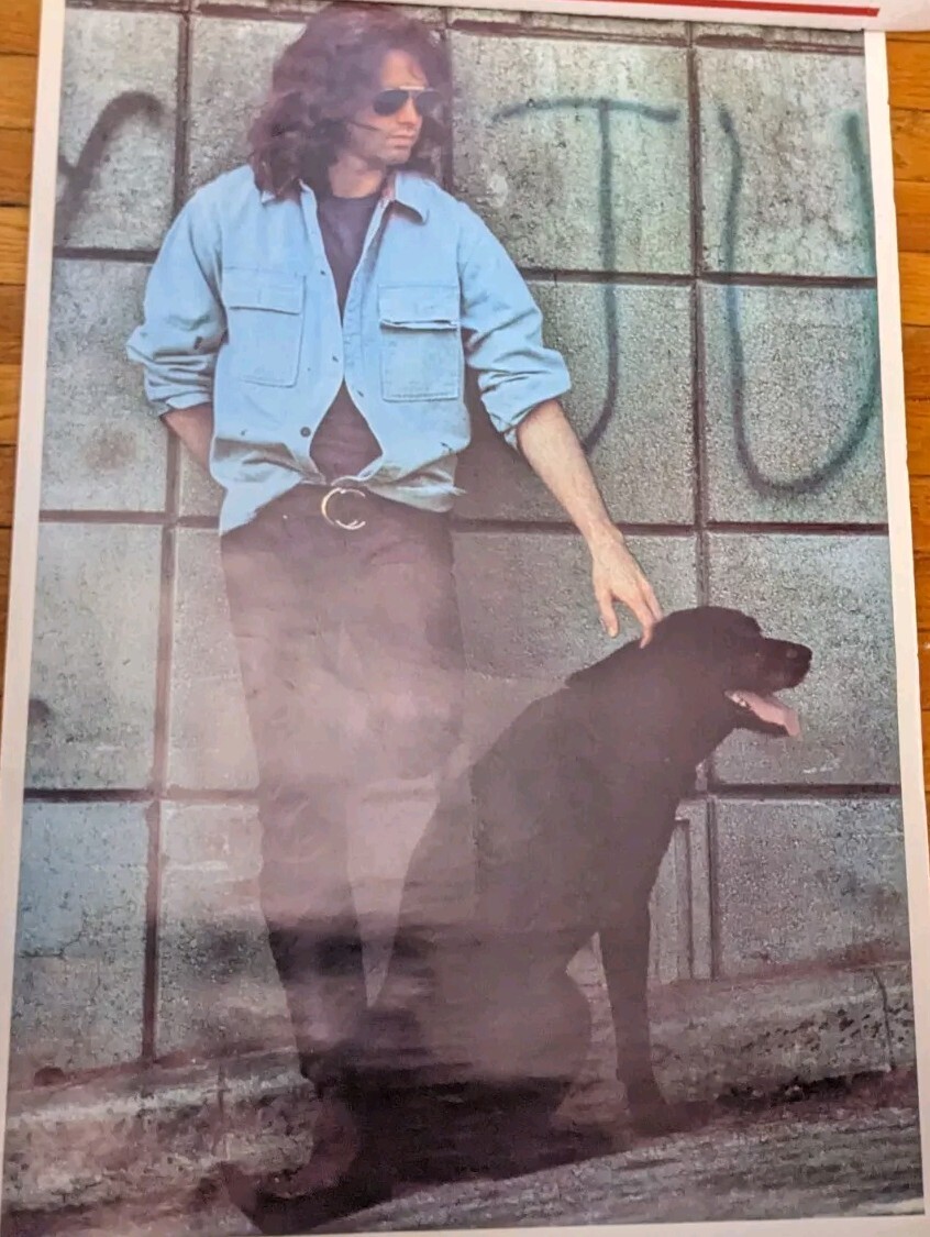 Vintage Jim Morrison Black Dog Poster Full Size 24 X 36 RARE HTF