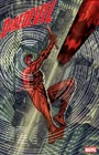 Daredevil #2 1:25 Stephen Platt Variant
