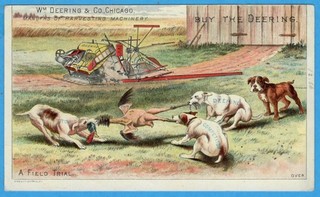 Wm Deering & Co Harvest Machines Dog Fight For Turkey Rip Off Head Trade Card