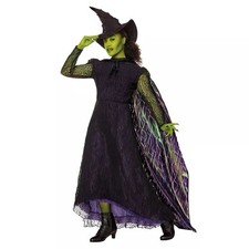 01853951 Spirit Halloween Adult Elphaba Deluxe Costume - Wicked Size Varies