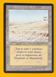 マジック：ザ・ギャザリング MTG Elephant Graveyard Elephant Graveyard Mtg | eBay