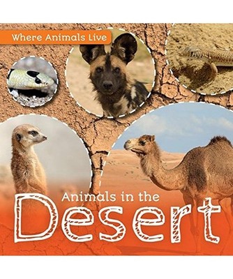 Animals in the Desert [Where Animals Live], Wood, John