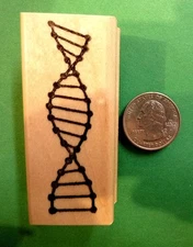 DNA - Wood Mounted Teacher's Rubber Stamp