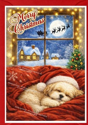 Shih Tzu Hund Weihnachtskarte A6 (4'' x 6'') - innen leer - Design von Starprint