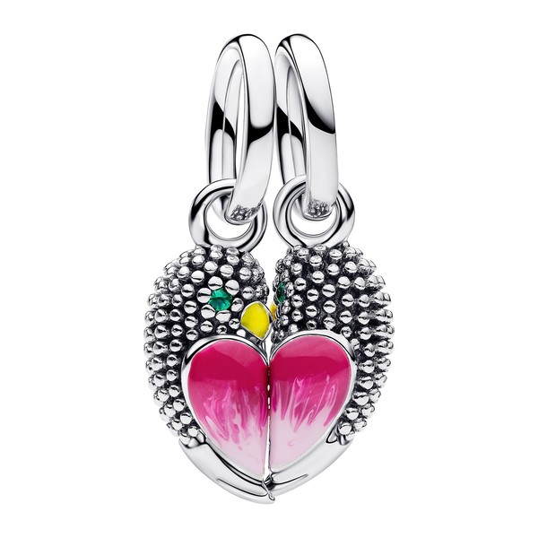 Pandora Schmuck Teilbarer Charm-AnhäNger LiebesvöGel Silber 794484C01-image