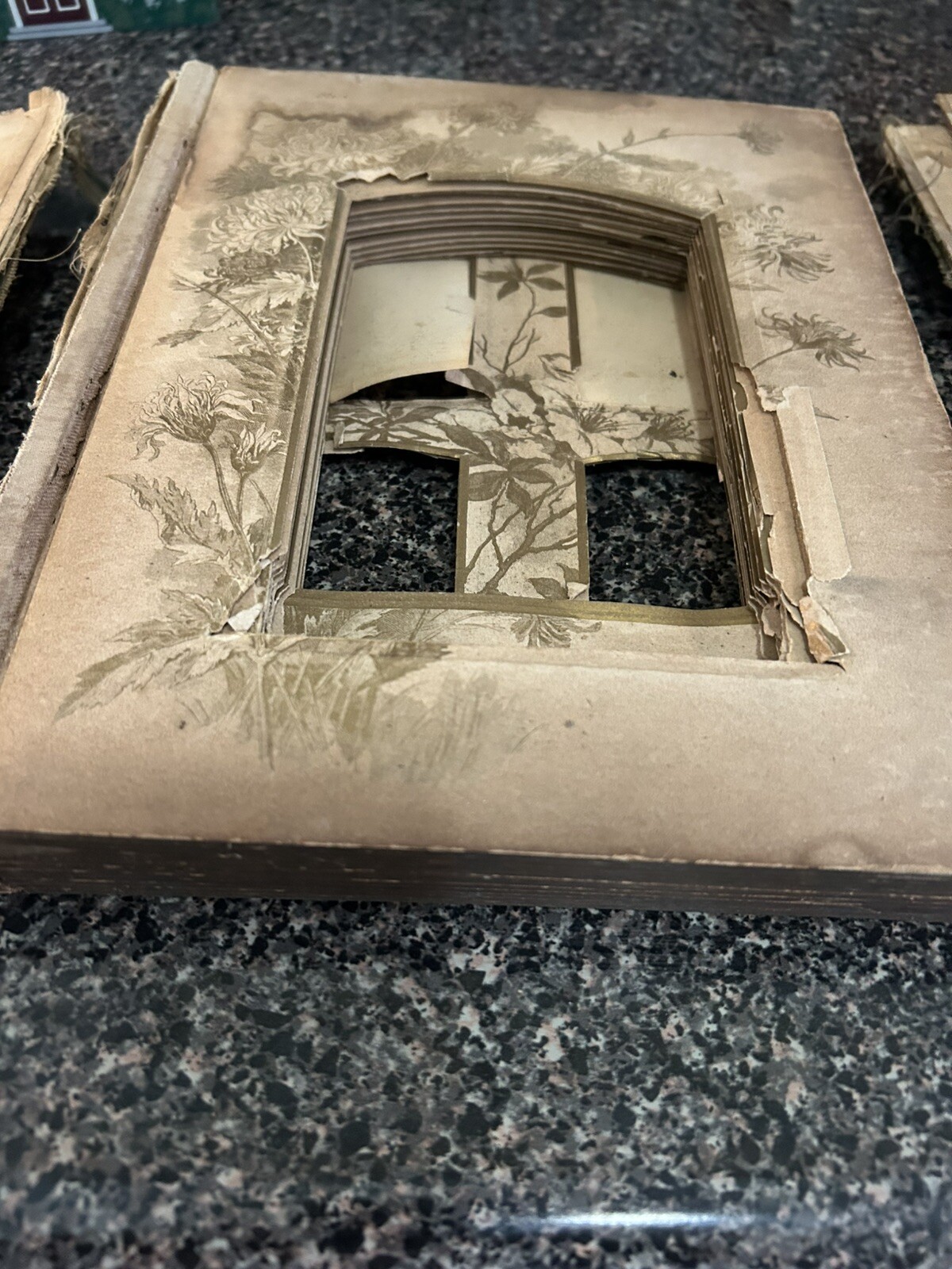 Picture 3 of 4