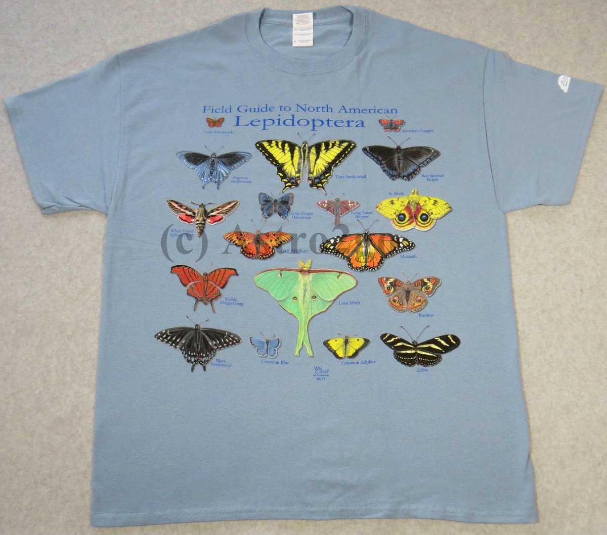 NORTH AMERICAN LEPIDOPTERA-Butterflies Moths Insects Nature