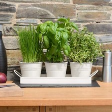 Kitchen Windowsill Metal Herb Pots With Tray Set Window Sill Garden Plant Indoor