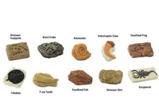 Ancient Fossils Toob Mini Figures Safari Ltd NEW Toys Educational Figurines Kids