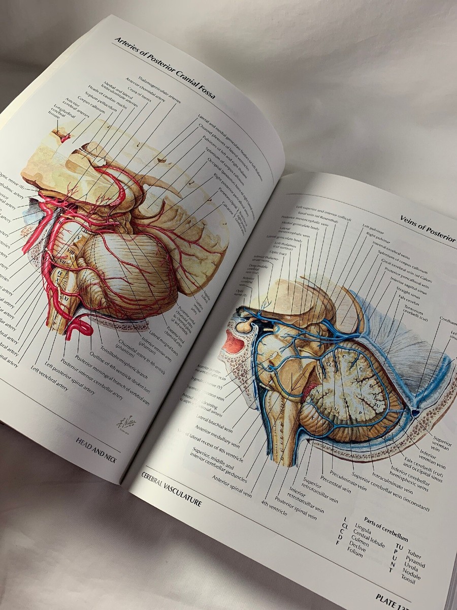 ATLAS OF HUMAN ANATOMY - Frank H. Netter, MD 4th Printing