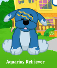 Webkinz Classic Aquarius Retriever Virtual PET Adoption Code Only Messaged