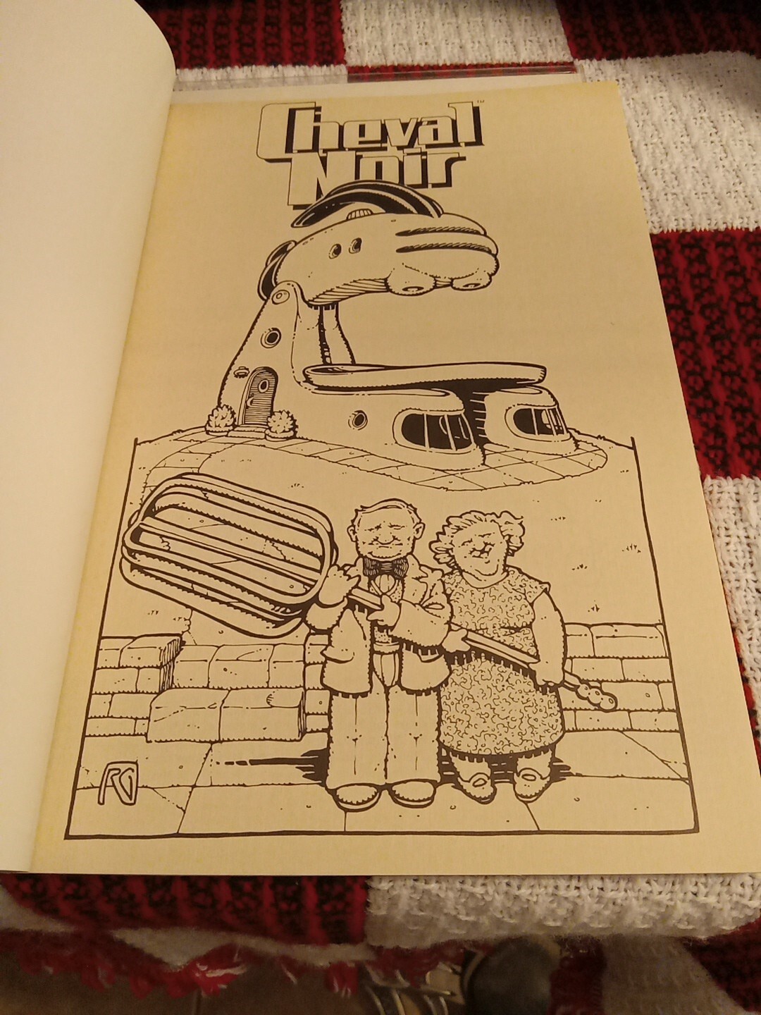 Picture 12 of 13