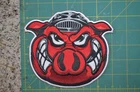 Rockford IceHogs AHL Vintage Throwback Hockey Jersey Shoulder Jacket Patch Crest