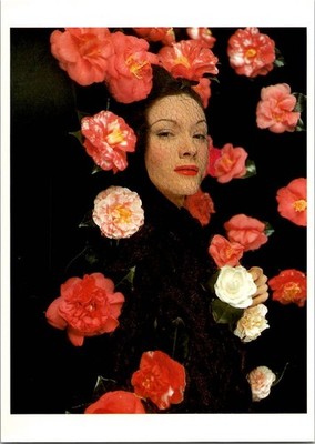 Erwin Blumenfeld Camellias 1943 Fashion Portrait Art Postcard