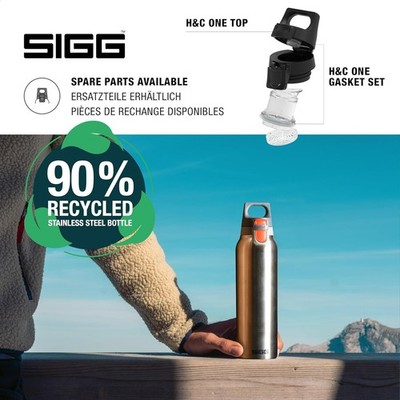 SIGG .6 Liter Bottle- Traveller Silver