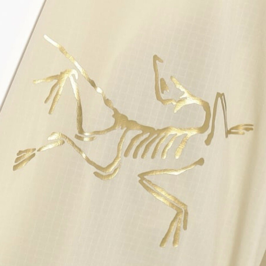 ARC'TERYX BEAMS Felpa con cappuccio Squamish 2024 beige XL NUOVA "NAGOMI"