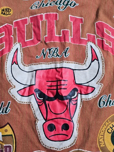Vintage 91/92/93 Chicago Bulls Champs Long Gone shirt - Picture 8 of 14