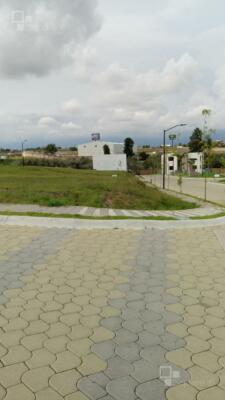 LOTE EN ESQUINA, CERCA A SONATA, 200 M2