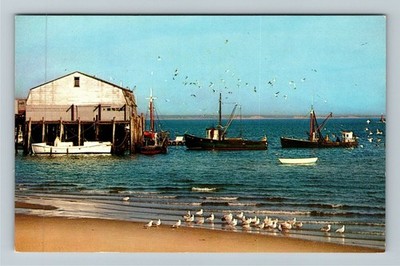 Cape Cod MA-Massachusetts, Gulls, Boats, Town Wharf, Vintage Postcard