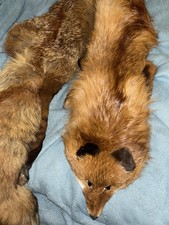Kanadischer Rotfuchs mit Kopf und Schweif, Pelzstola Fuchs neuwertig Kürschner