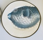 Foto 3 di 5