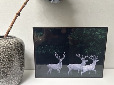 LUMAS Fotokunst Frank Stöckel 2003 Eekholt #5, 28 x 21 cm, ZERTIFIZIERT Nr. 1