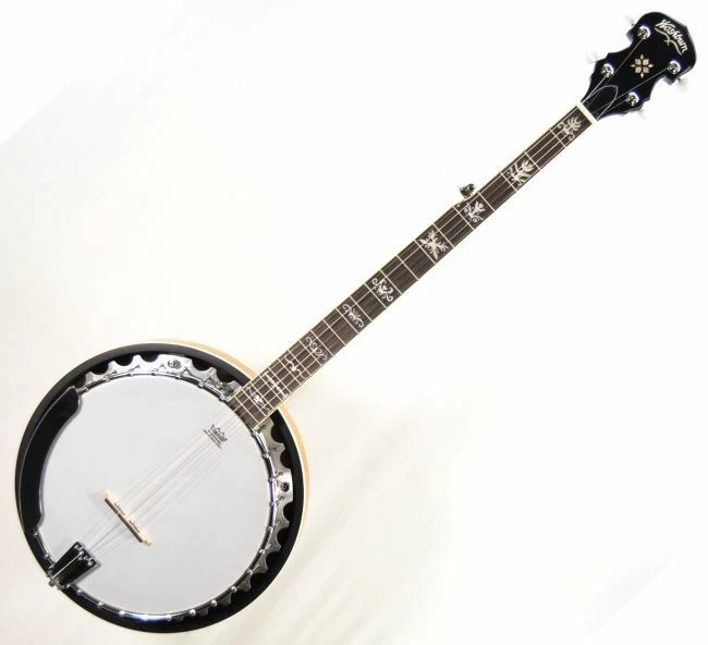 Ebay 5 string sale banjo