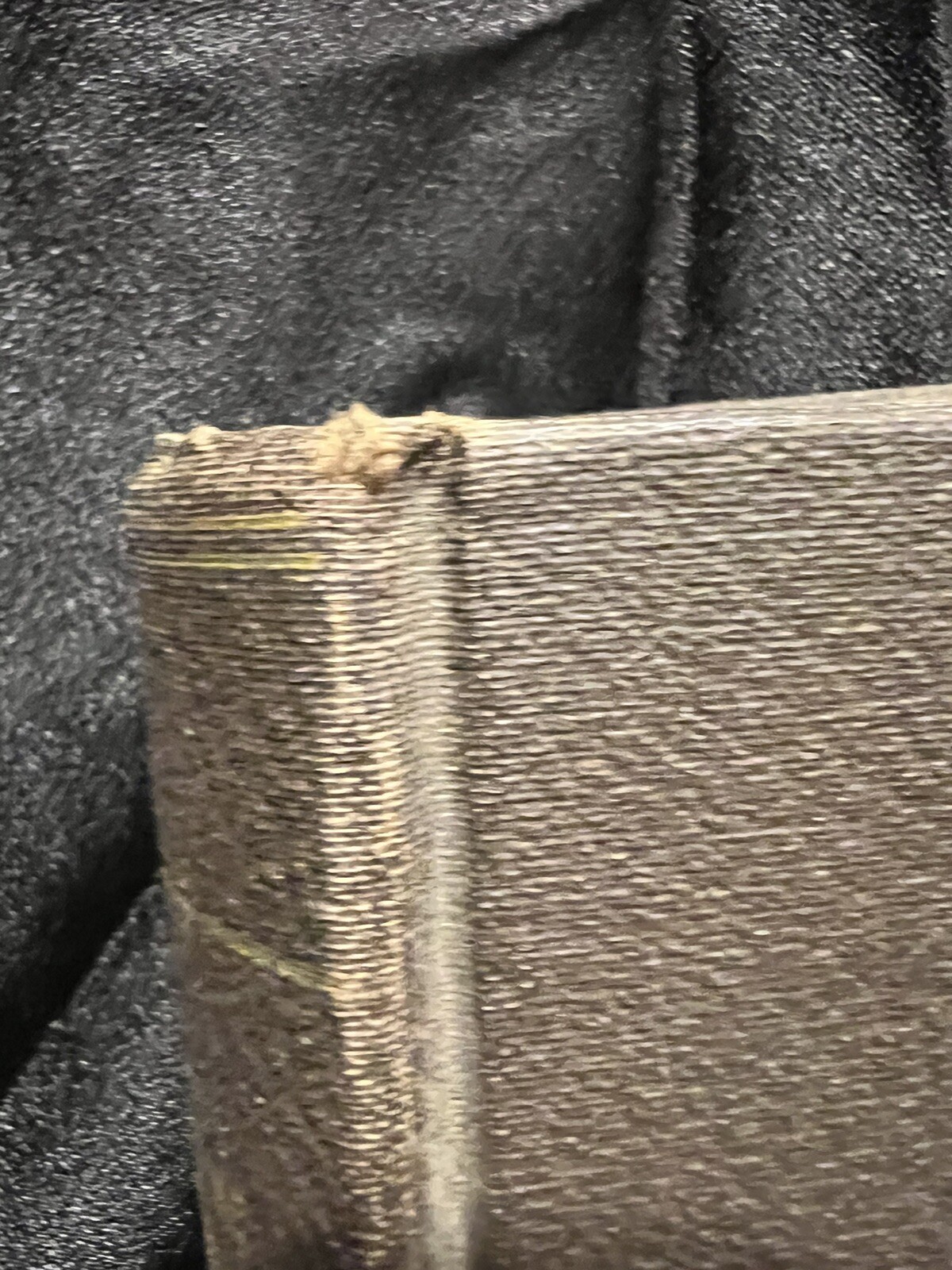 Picture 12 of 12