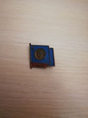 DDR FDJ Junge Pioniere 1975 Communism East german badge GDR USSR 