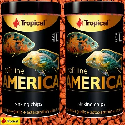 Tropical soft line AMERICA L 2x 250ml farbverstärkend