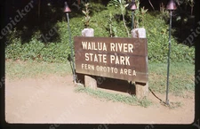 Sl85 Original Slide  1971 Hawaii Wailua River state park sign fern grotto 424a