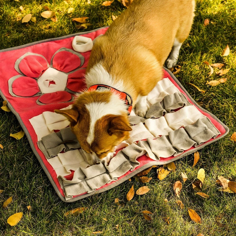 Hunde Schnüffelteppich Trainingsmatte Futtermatte Intelligenzspielzeug 80x60cm - Bild 2 von 4