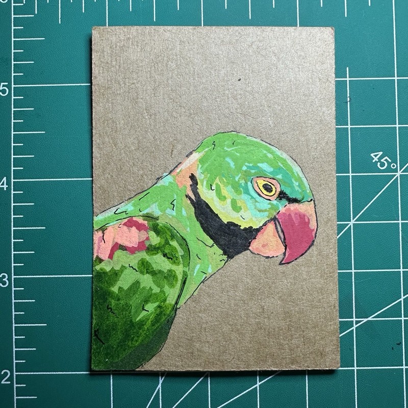 ACEO Original Art Card, Mini Painting of A Parrot, An Alexandrine Parakeet, Bird
