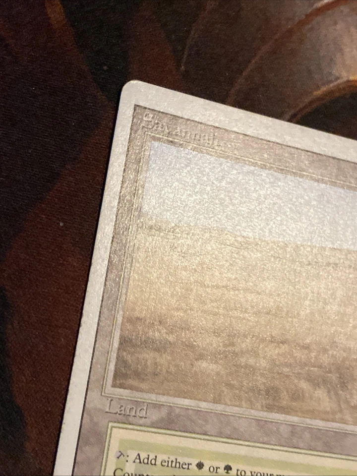 Savannah X1 Mtg Revised Lp/Lp- - Image 4 of 4