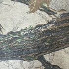 Picture 6 of 11