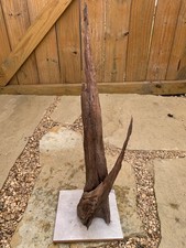 Natural Driftwood For Aquarium/Terrarium /Arts And Crafts
