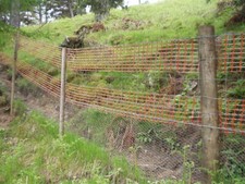 Photo 6x4 Capercaillie fence Garbh Allt Shiel This type of fence is commo c2005