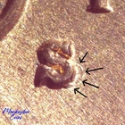 1940 S Lincoln Wheat Cent -Repunched Mint Mark RPM-007 - BU - Coneca Top 100 RPM